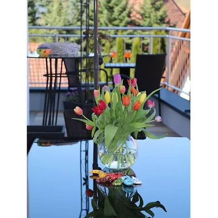 Penthouse Tauberblick Terrace Tauberbischofsheim